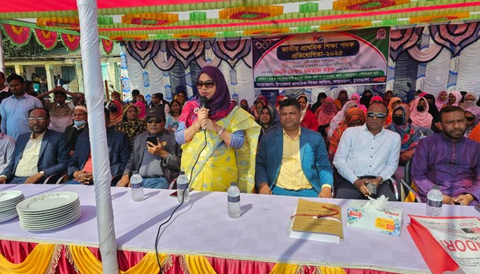 দামুড়হুদায় দুই দিনব্যাপী জাতীয় প্রাথমিক শিক্ষা পদক প্রতিযোগিতার উদ্বোধন