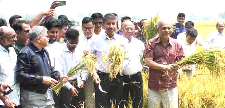 কৃষকের উৎপাদিত পণ্যের ন্যায্যমূল্য নিশ্চিত করার কথা জানালেন কৃষি ও স্বরাষ্ট্র উপদেষ্টা